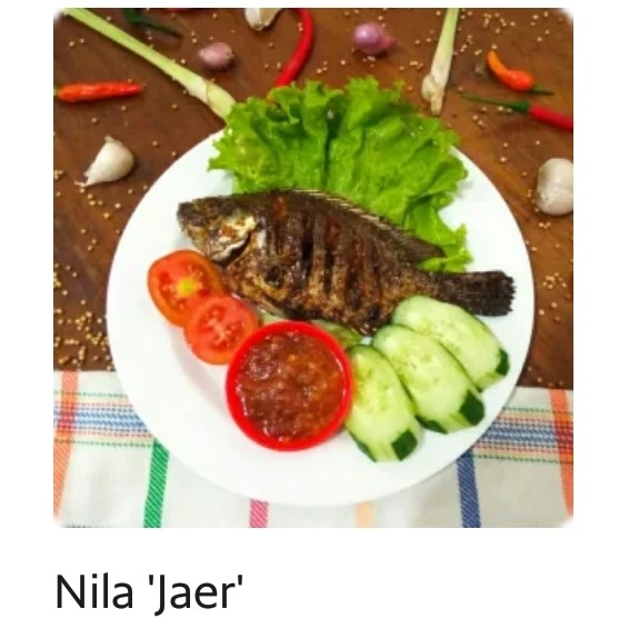 Nila Jaer