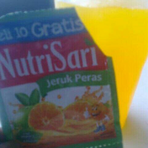 Nutri Sari Raisa