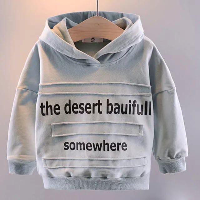 OUTERWEAR ANAK UNISEX HOODIE DESERT FLEECE 4