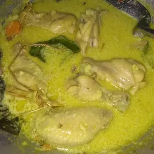 Opor Ayam Daging