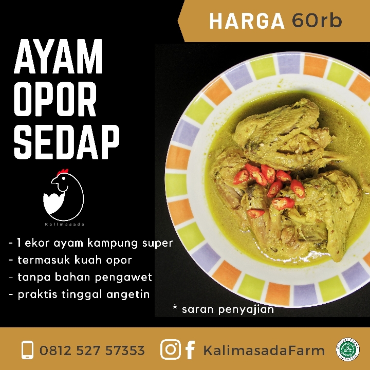 Opor Ayam Kampung 2