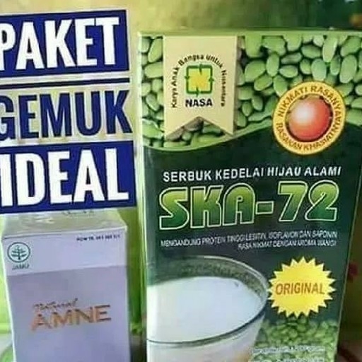 PAKET GEMUK IDEAL NASA