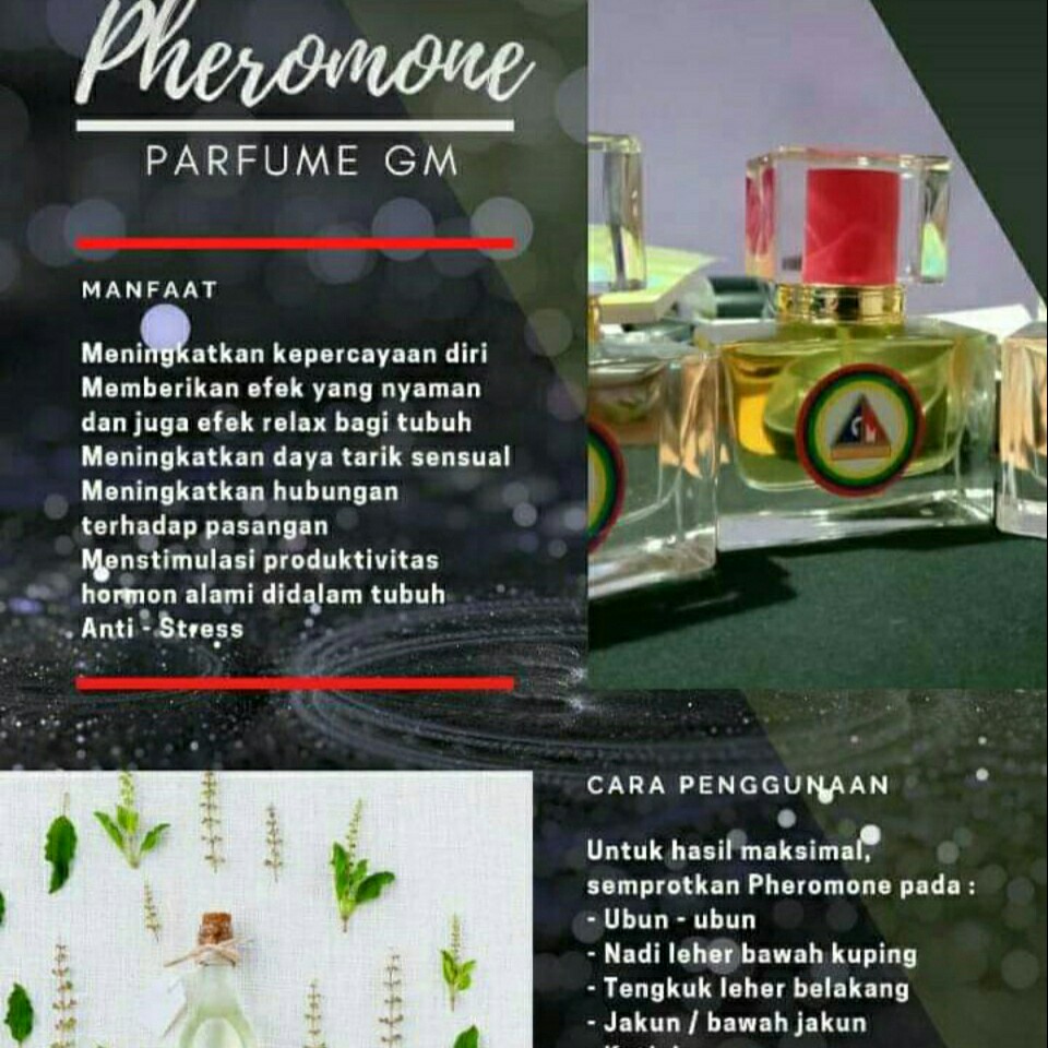 PARFUM PHERONE GM