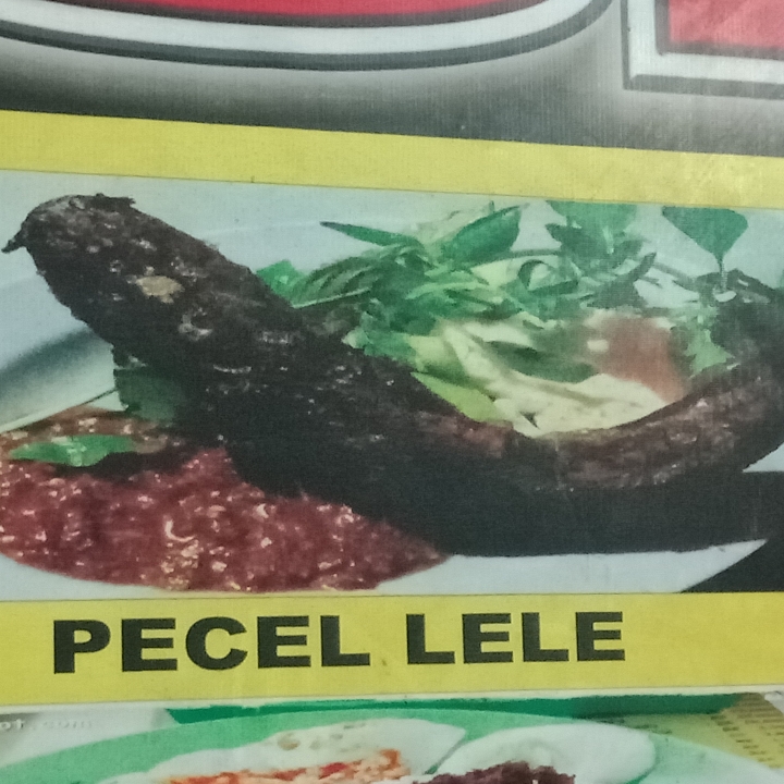 PECEL LELE