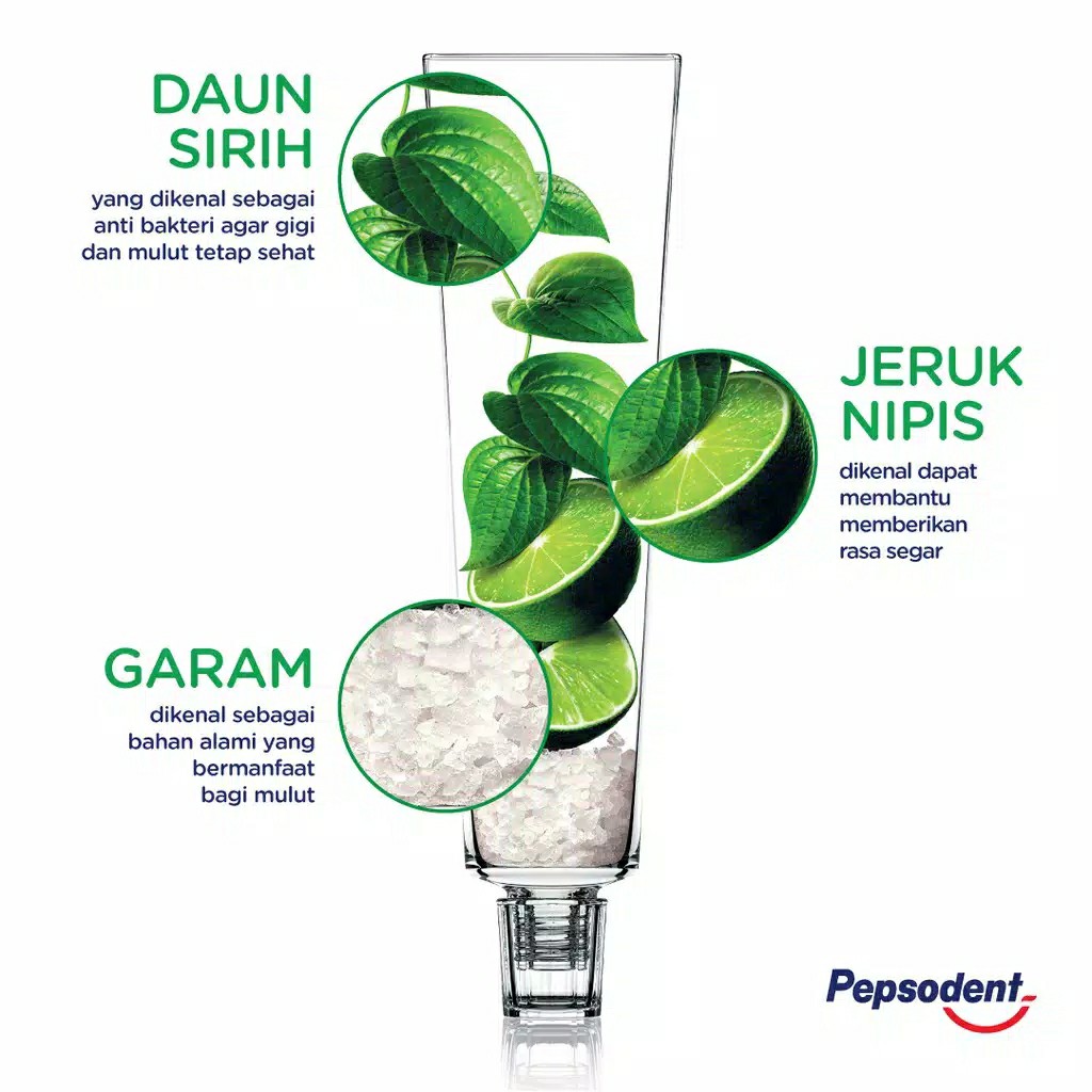 PEPSODENT HERBAL 190 GR 3