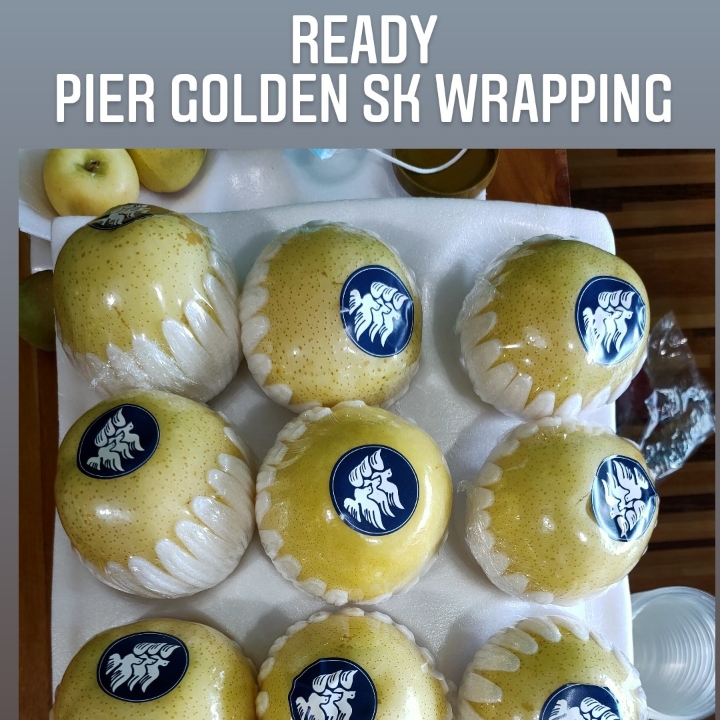 PIER GOLDEN SK WRAPPING