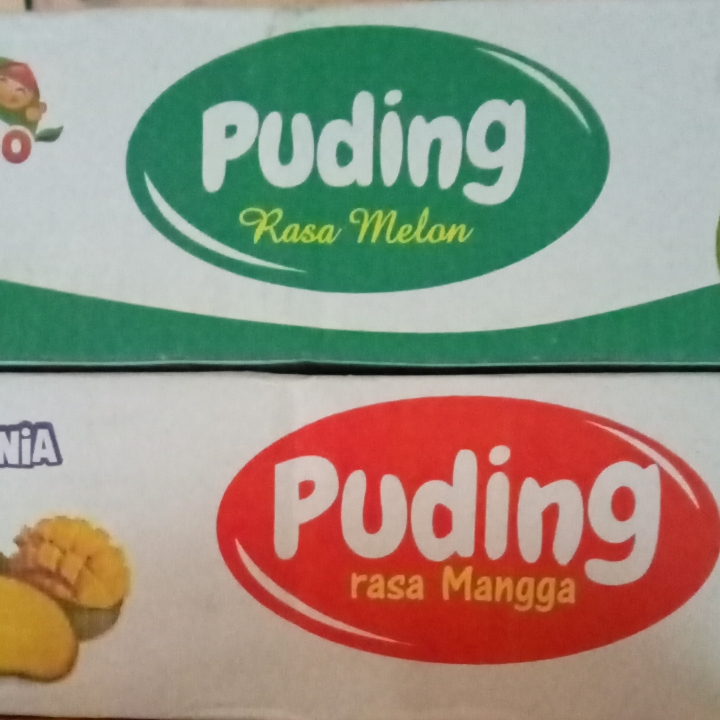 PUDING 1 DUS