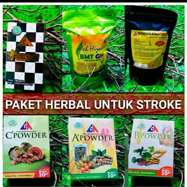 Paker Herbal Untuk Mengobati Stroke