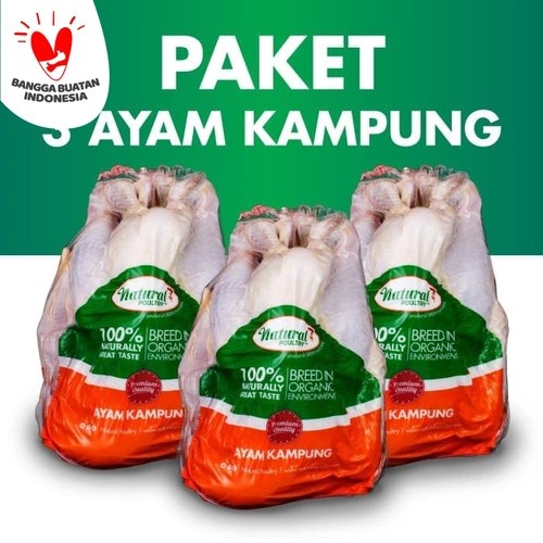 Paket 3 Ayam Kampung 700gr-800gr - Natural Poultry