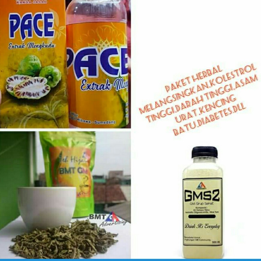 Paket Herbal Melangsingkan