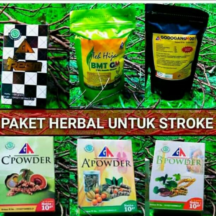 Paket Herbal Untuk Stroke