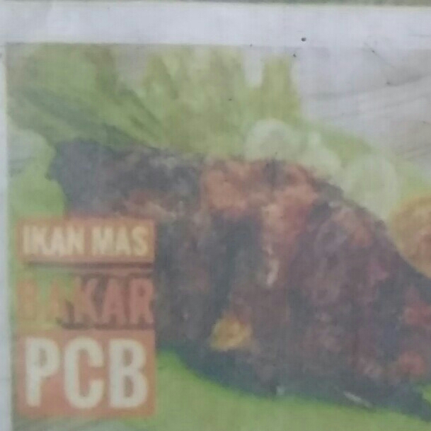 Paket Ikan Mas Bakar Nasi