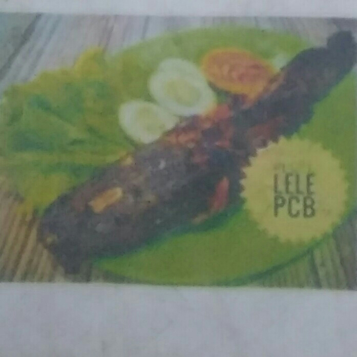 Paket Lele Nasi