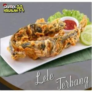 Paket Lele Terbang