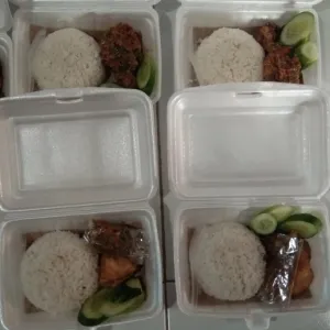 Paket Nasi Ayam Penyet Sambal Setan