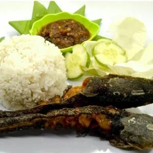 Paket kompLit Lele Goreng penyet bakar Isi 2 