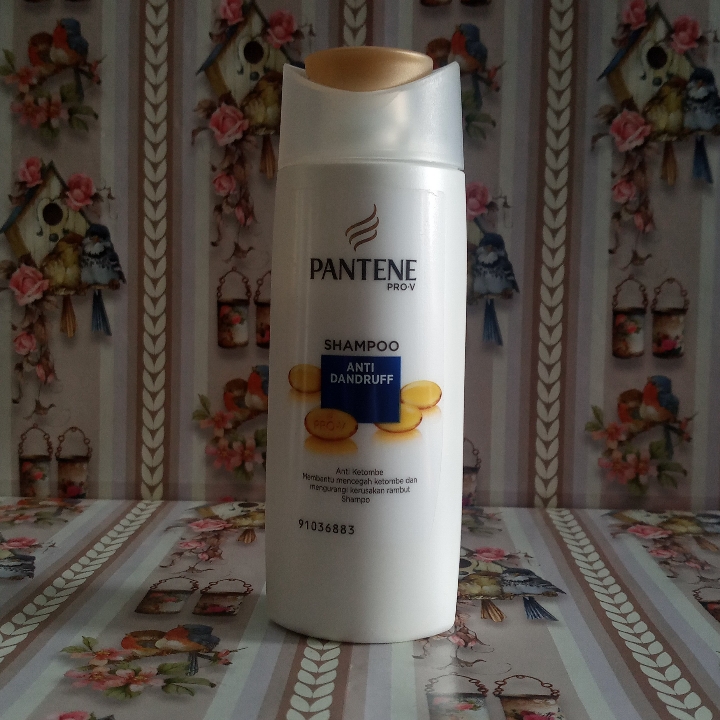 Pantene Shampoo 3