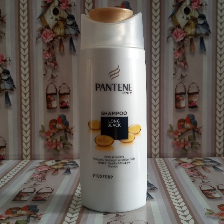 Pantene Shampoo 4