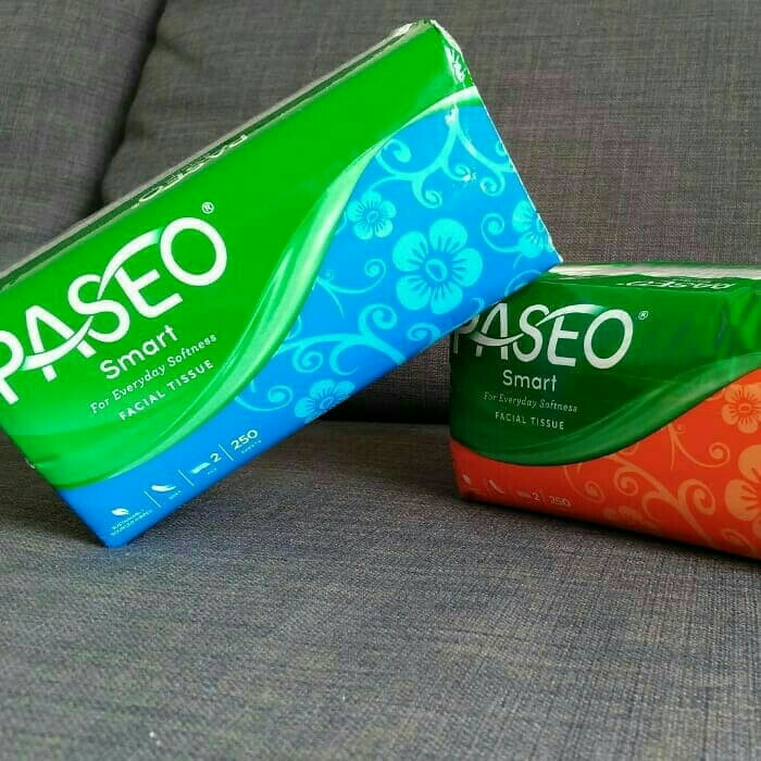 Paseo 250 Sheets 2 Ply 2