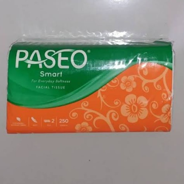 Paseo Smart 250 Sheets