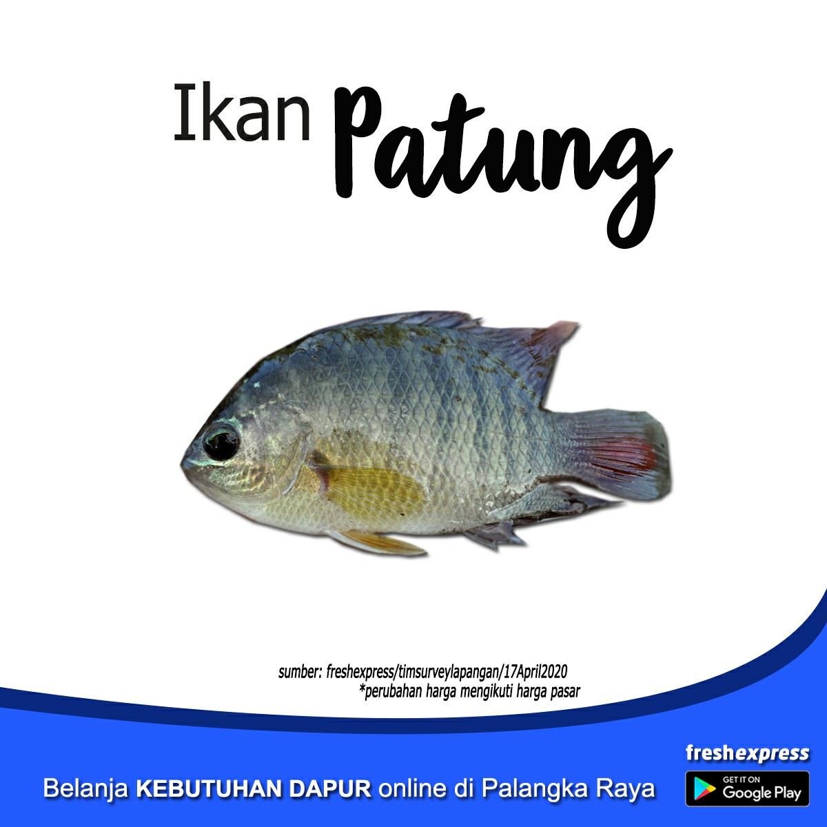 Patung 1kg