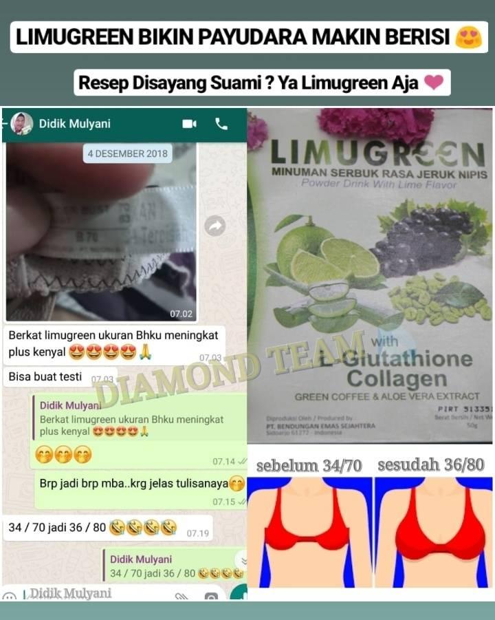 Payudara Kenyal dan Montok