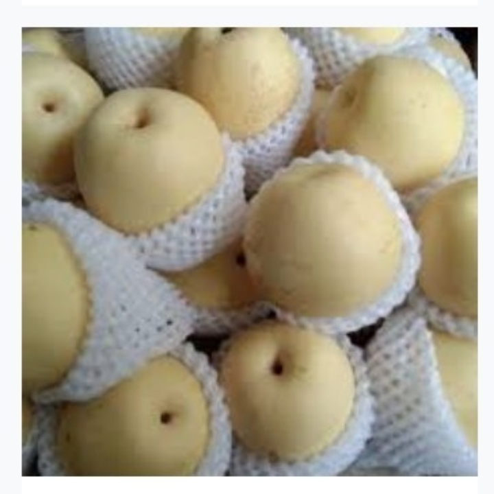 Buah Pear 1 Kg