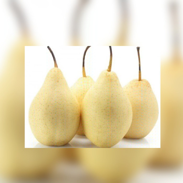 Pear Yalie