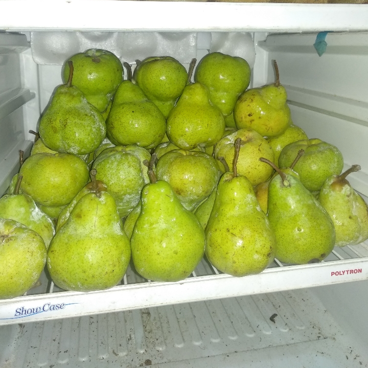 Pear jambu 