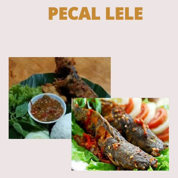 Pecal Lele