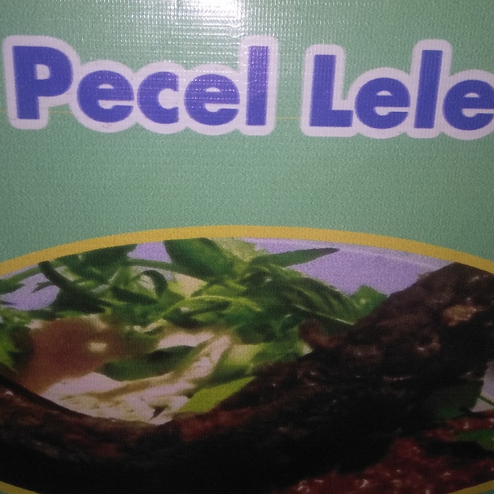 Pecel Lele