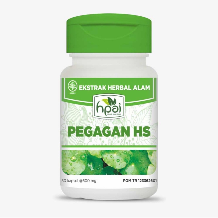 Pegagan HS