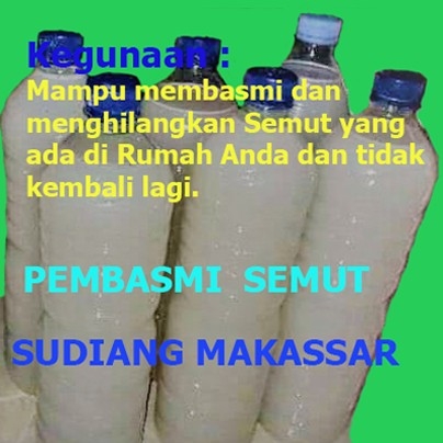 Pembasmi Semut 2