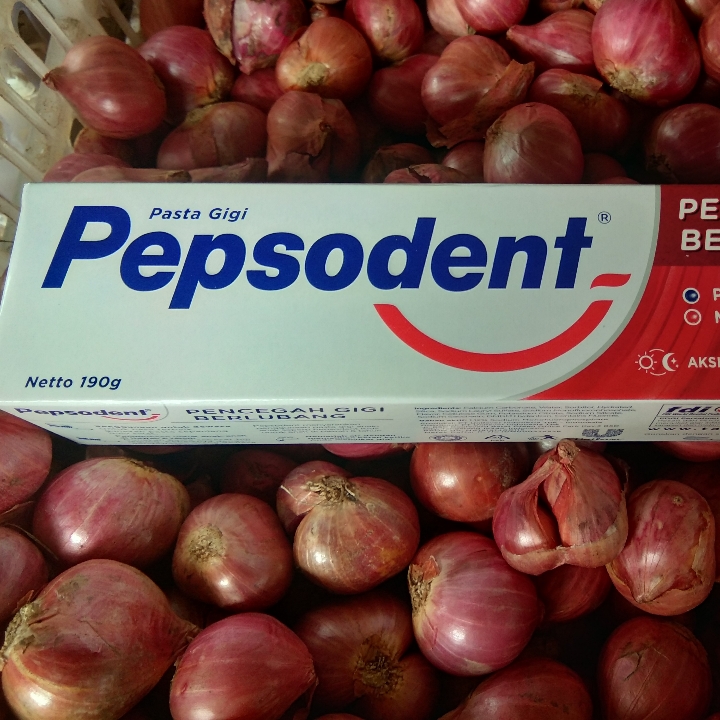 Pepsodent Ukuran Besar