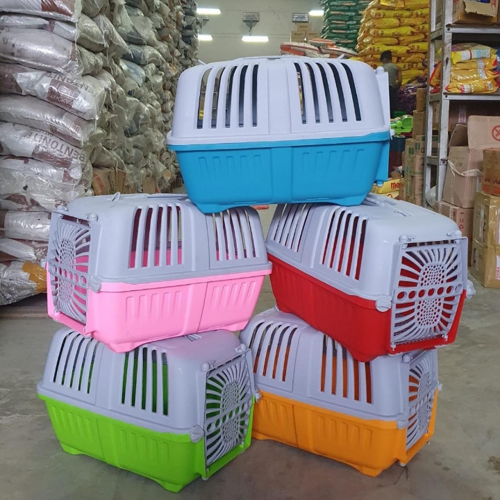 Petcargo Kucing