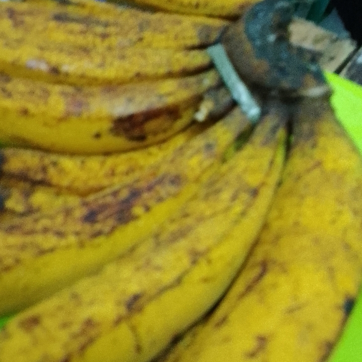 Pisang