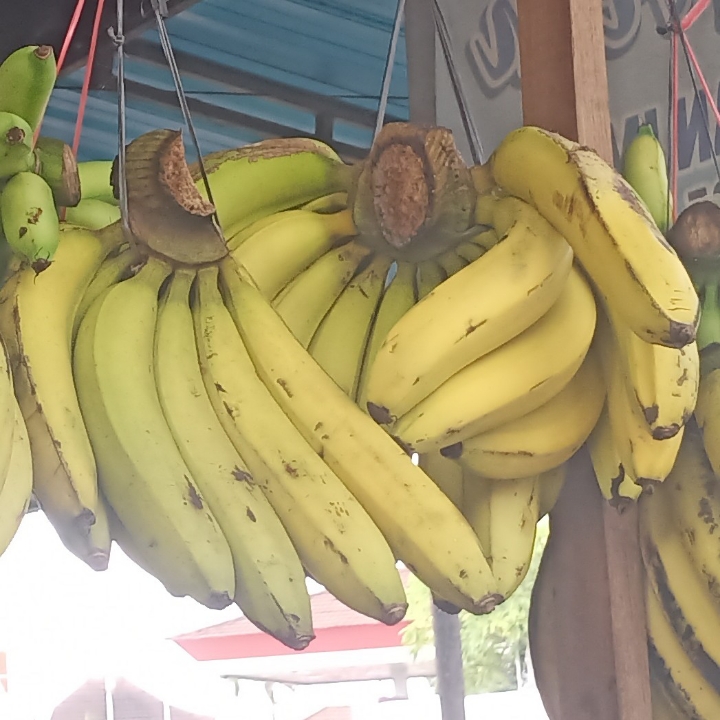 Pisang Ambon Super