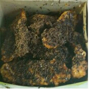 Pisang Coklat 