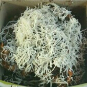 Pisang Coklat Keju