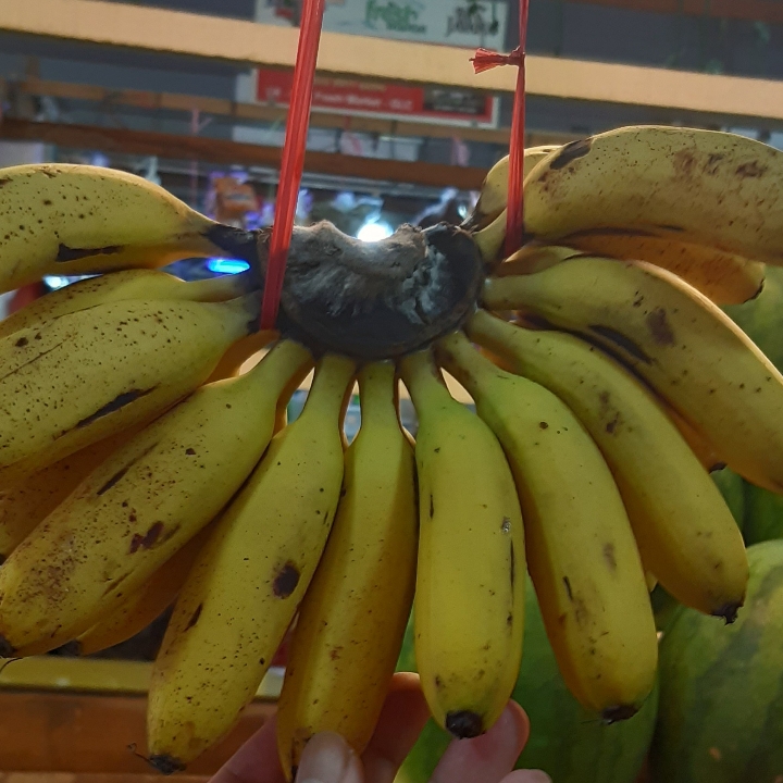 Pisang Mas