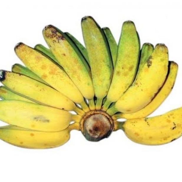 Pisang Sepatu