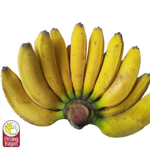 Pisang raja