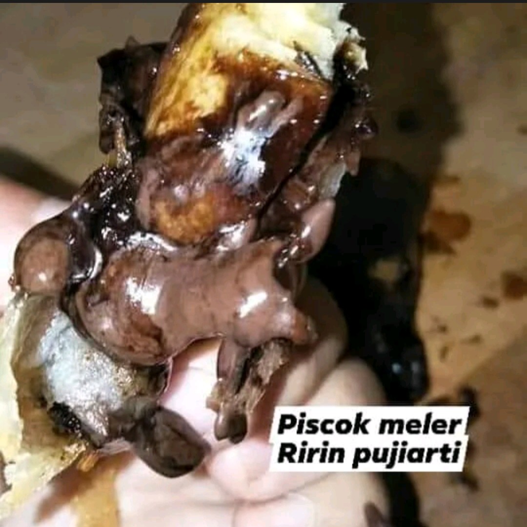 Piscok Meler Original