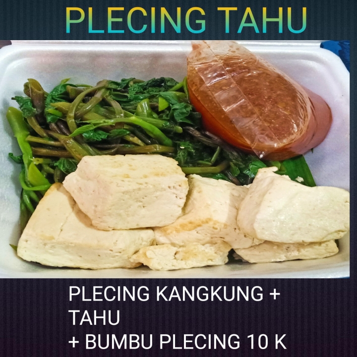 Plecing Tahu