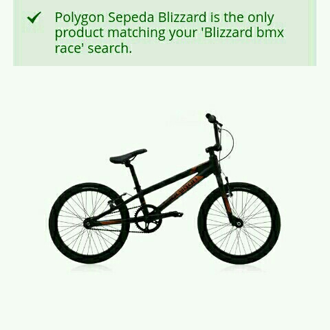 Polygon 2024 bmx blizzard