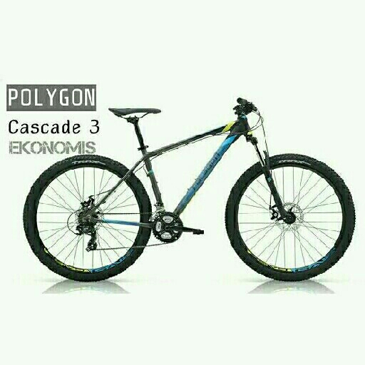 Polygon Cascade 3 Xcsport 4508