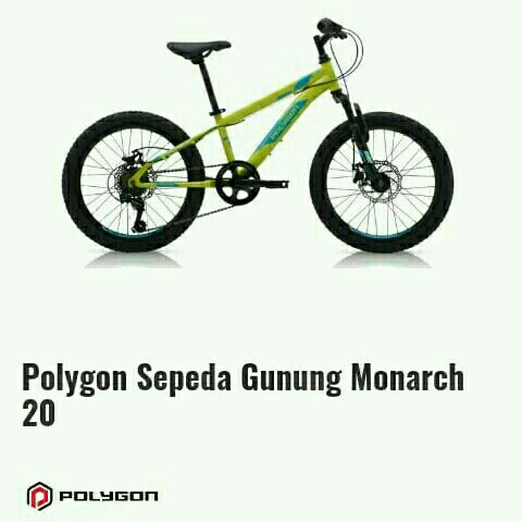 Polygon Monarch 20 2590