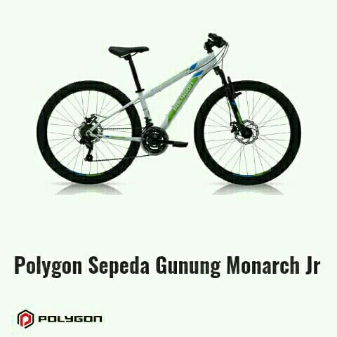 Polygon Monarch 20jr 2975