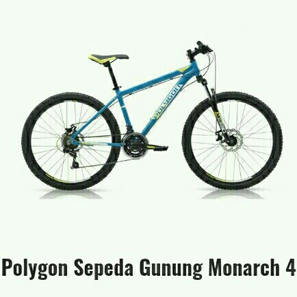 Polygon Monarch 4 3290