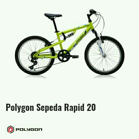 Polygon Rapid 20 3220